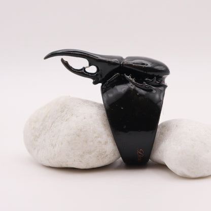 Anillo Xunan – Fuerza Encapsulada