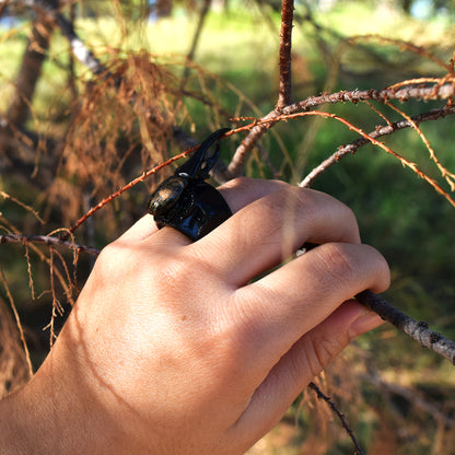 Anillo Xunan – Fuerza Encapsulada