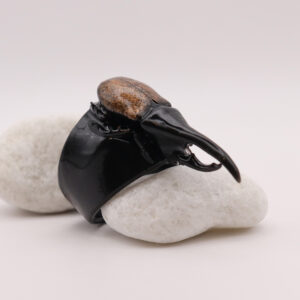 BEETLE-COPPER-ISO1