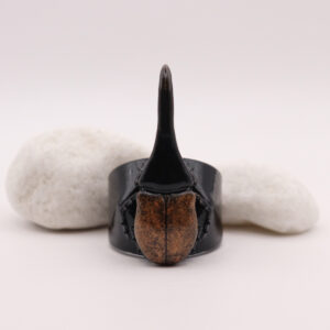 BEETLE-COPPER-SUP