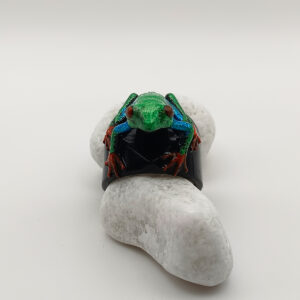 RANA-GREEN-FRONT