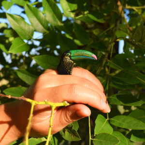 TUCAN-GREEN-ART1